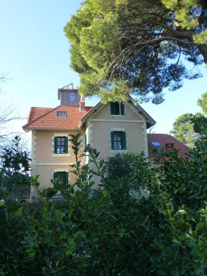 La Maison Du Mole Aigues-Mortes Exterior foto